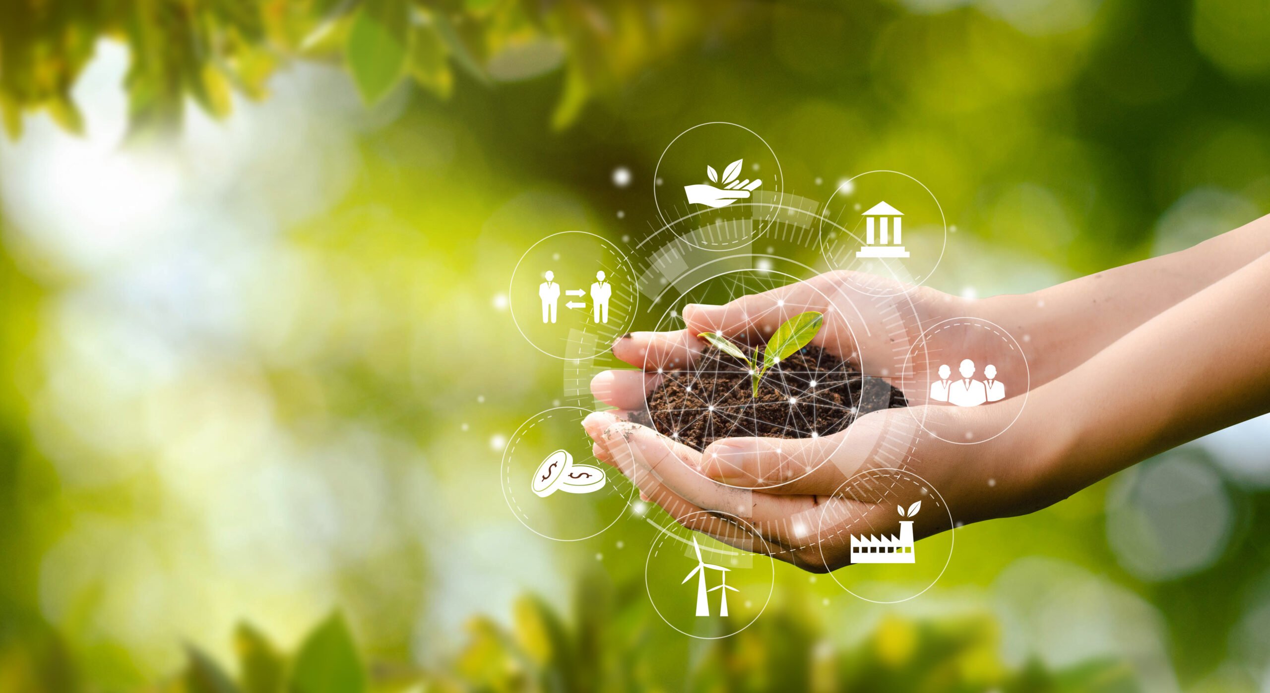 Embracing Sustainable Innovation With 3DEXPERIENCE