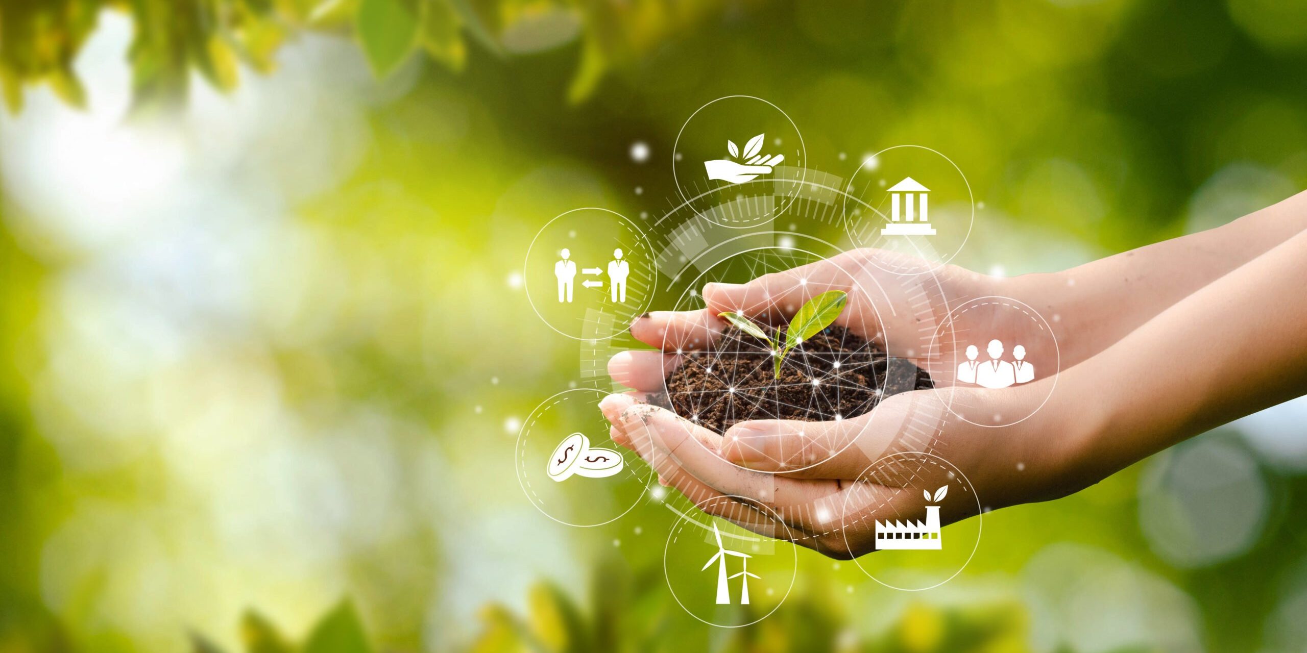 Embracing Sustainable Innovation With 3DEXPERIENCE